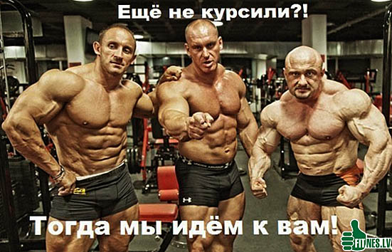 http://img.fitnes.lv/bodybuilding_humor_399012.jpg